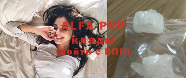 ECSTASY Дмитриев