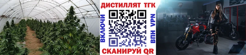 ТГК Wax  Купить  Власиха 